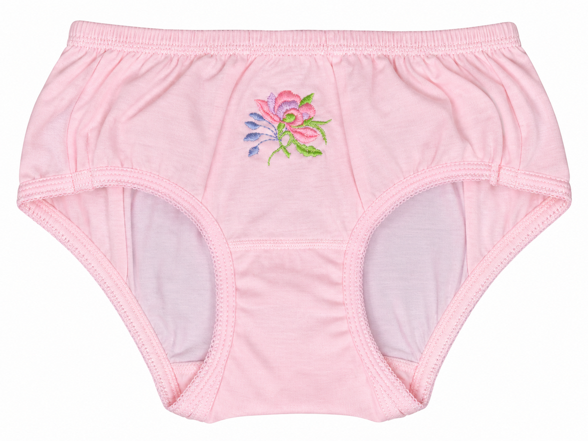 Women's Floral Embroidered Panty